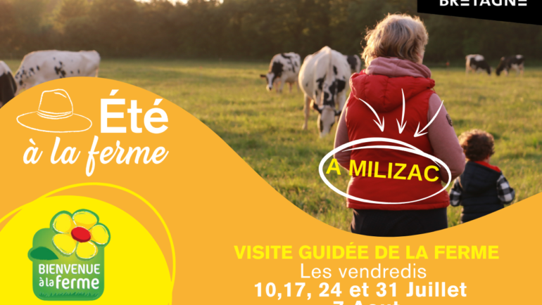 Eté à la ferme!